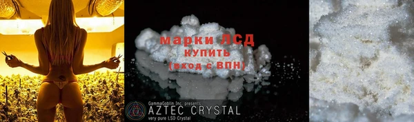дживик Белокуриха