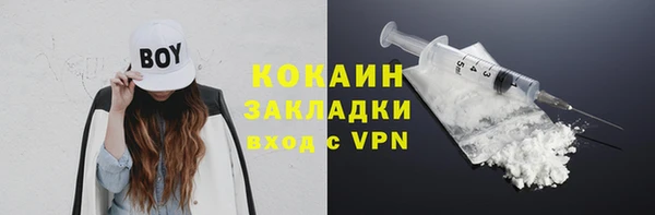 твердый Щёлкино