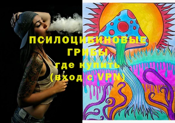 PSILOCYBIN Щигры